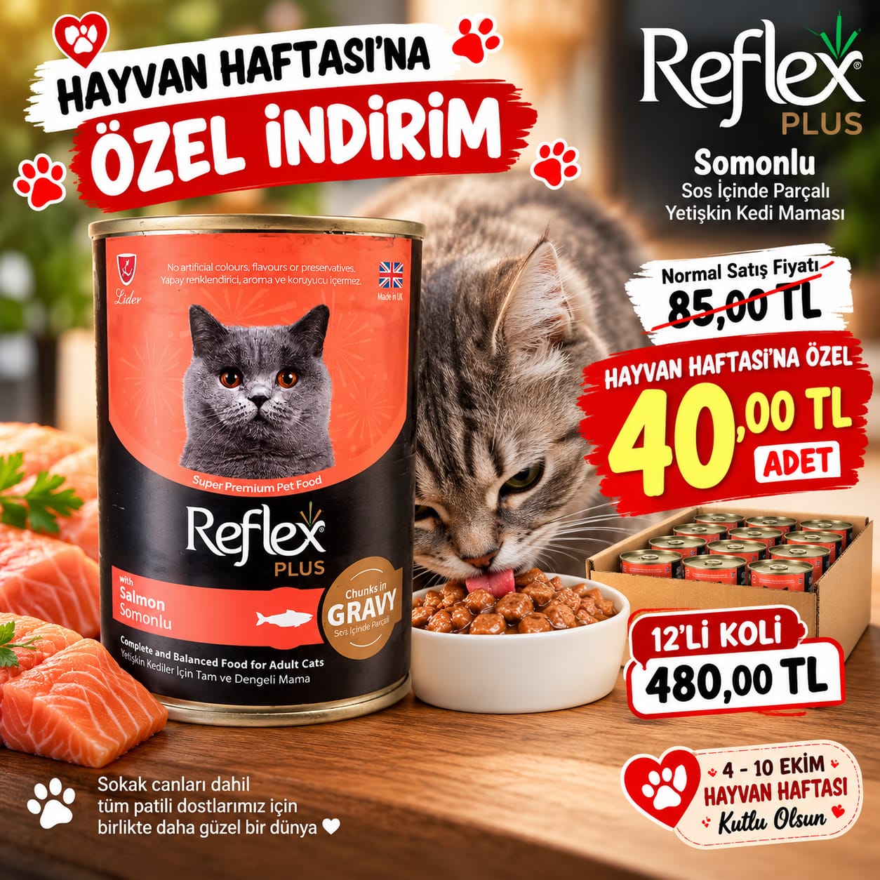 Reflex yaş kedi maması kampanya görseli