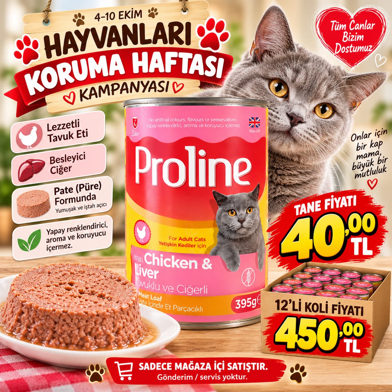 Proline kedi konservesi kampanya görseli