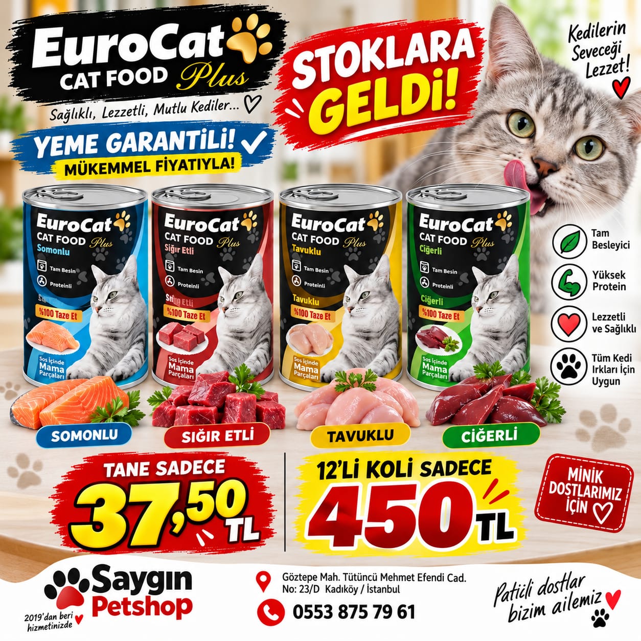 EuroCat yaş kedi maması kampanya görseli