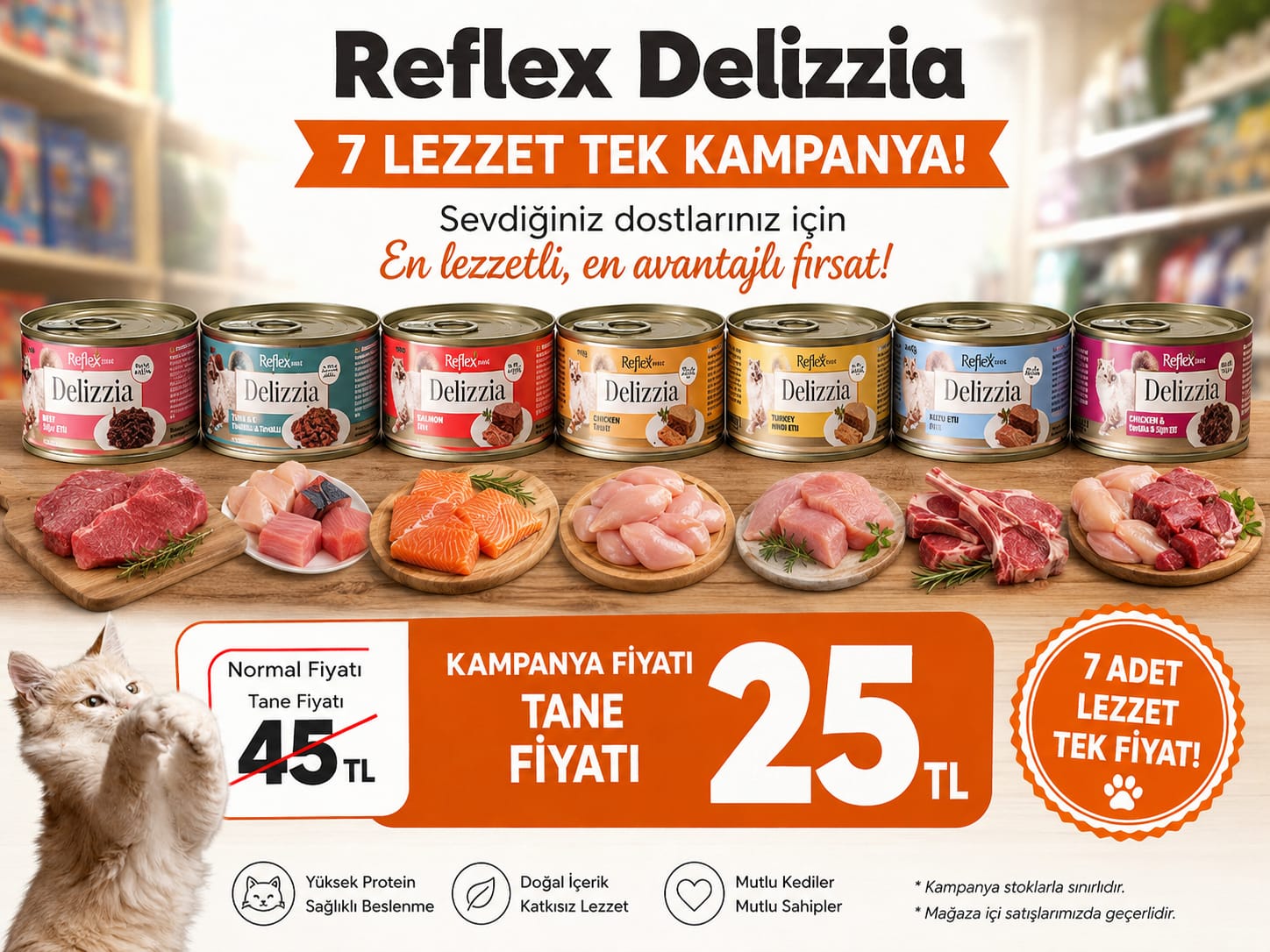 Reflex Delizzia yaş kedi maması kampanya görseli