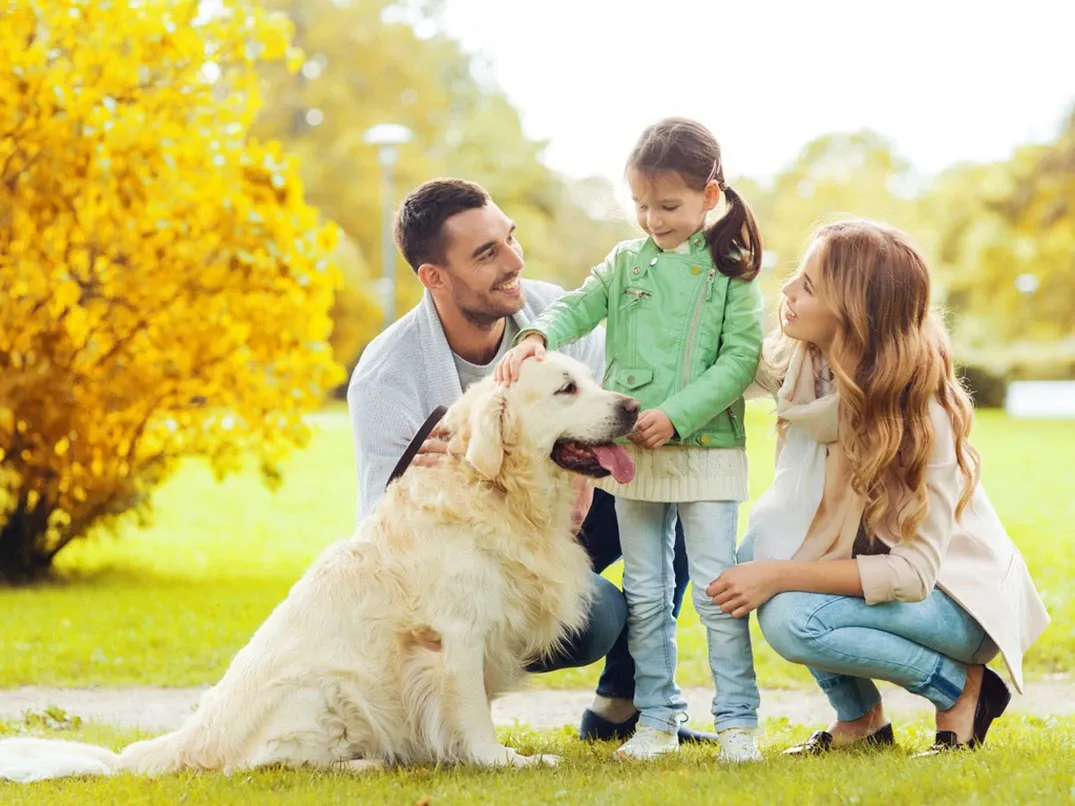 Köpeğinizle Daha Güçlü Bir Bağ Kurmanın 6 Yolu