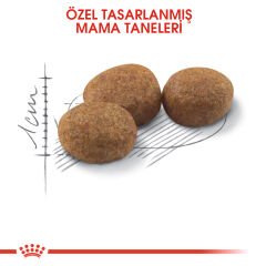 Royal Canin Sterilised 37 Kısırlaştırılmış Yetişkin Kedi Maması 15kg