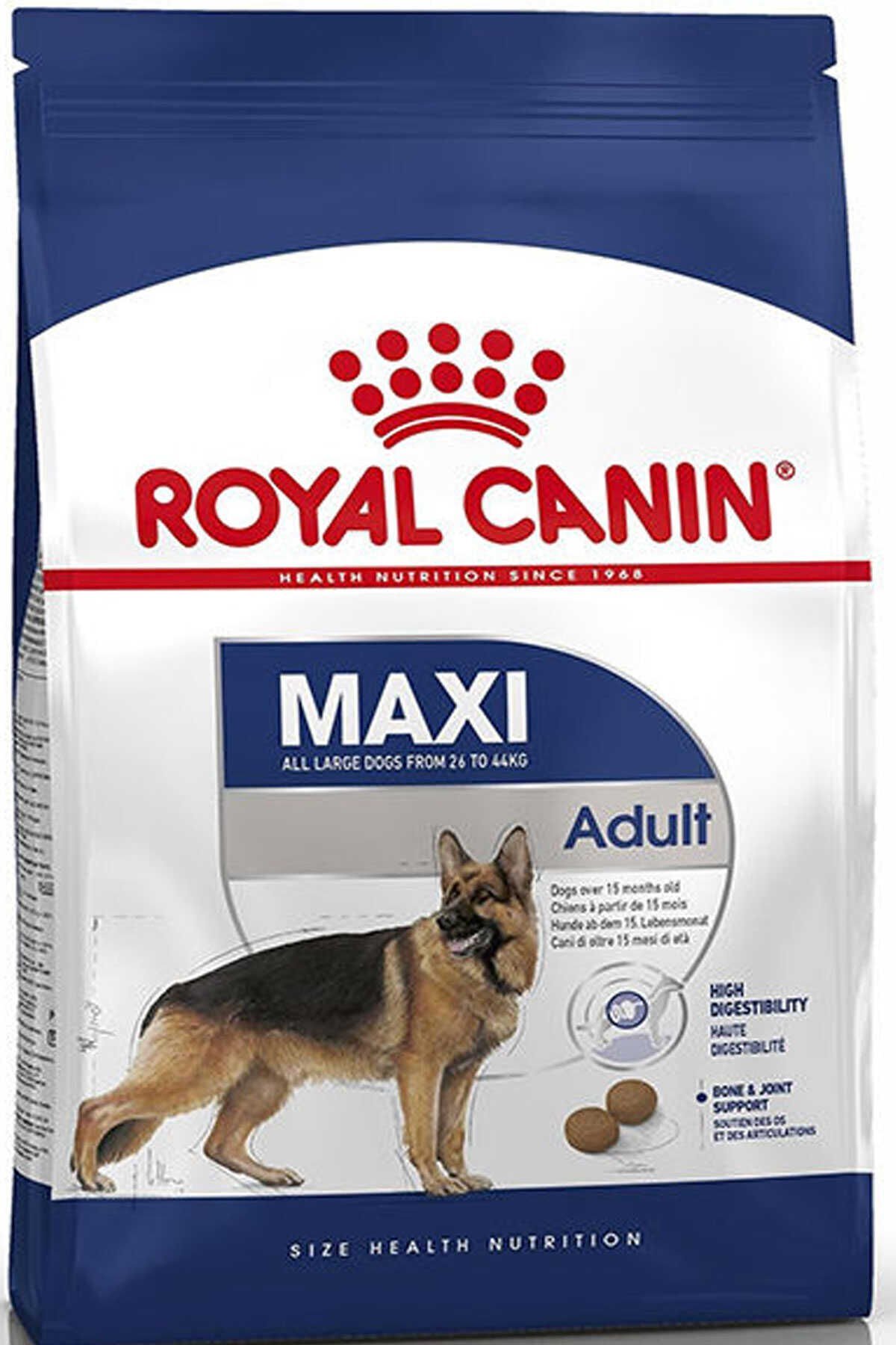 Royal Canin Maxi Adult Büyük Irk Yetişkin Köpek Maması 15kg