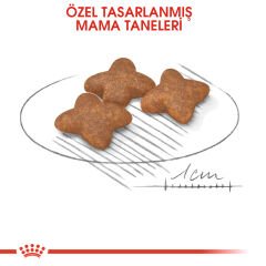 Royal Canin Mini Adult Küçük Irk Yetişkin Köpek Maması 2kg