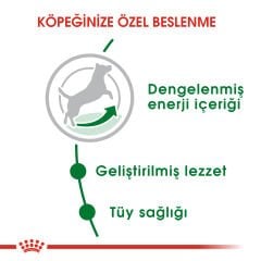 Royal Canin Mini Adult Küçük Irk Yetişkin Köpek Maması 2kg