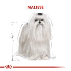 Royal Canin Maltese Yetişkin Köpek Maması 1,5kg