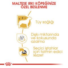 Royal Canin Maltese Yetişkin Köpek Maması 1,5kg