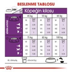 Royal Canin Giant Adult İri Irk Yetişkin Köpek Maması 15kg