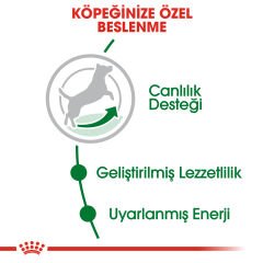 Royal Canin Mini Adult +8 Küçük Irk Yaşlı Köpek Maması 2kg