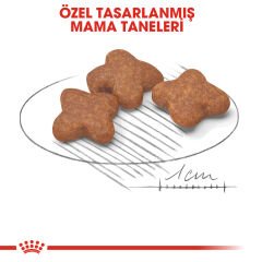 Royal Canin Mini Adult +8 Küçük Irk Yaşlı Köpek Maması 2kg