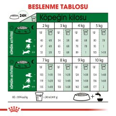 Royal Canin Mini Adult +8 Küçük Irk Yaşlı Köpek Maması 2kg