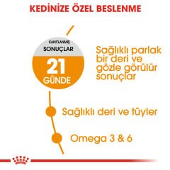 Royal Canin Hair & Skin Deri ve Tüy Sağlığı İçin Yetişkin Kedi Maması 2kg