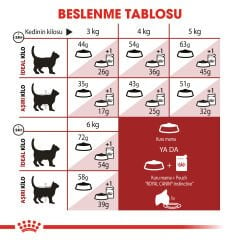 Royal Canin Fit 32 Yetişkin Kedi Maması 2kg