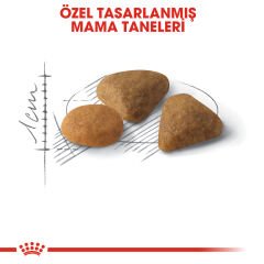 Royal Canin Exigent 35/30 Seçici Yetişkin Kedi Maması 2kg