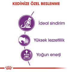 Royal Canin Sensible 33 Hassas Sindirim Sistemi olan Kediler için Yetişkin Kedi Maması 2kg