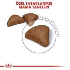 Royal Canin Hairball Care Tüy Yumağı Önleyici Yetişkin Kedi Maması 2kg