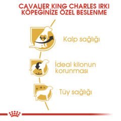 Royal Canin Cavalier King Charles Adult Yetişkin Köpek Maması 3kg