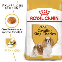 Royal Canin Cavalier King Charles Adult Yetişkin Köpek Maması 3kg