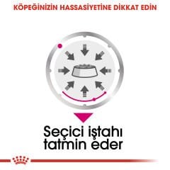 Royal Canin Exigent Seçici Köpek Konservesi 85gr