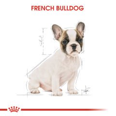 Royal Canin French Bulldog Puppy Yavru Köpek Maması 3kg