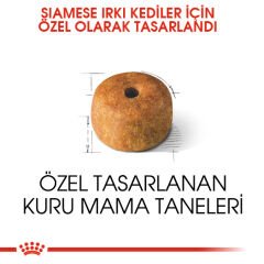 Royal Canin Siamese Siyam Irkı Yetişkin Kedi Maması 2kg