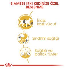 Royal Canin Siamese Siyam Irkı Yetişkin Kedi Maması 2kg