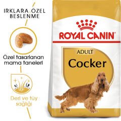 Royal Canin Cocker Yetişkin Köpek Maması 3kg