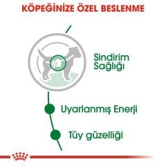 Royal Canin Mini Adult Küçük Irk Köpek Konservesi 85gr