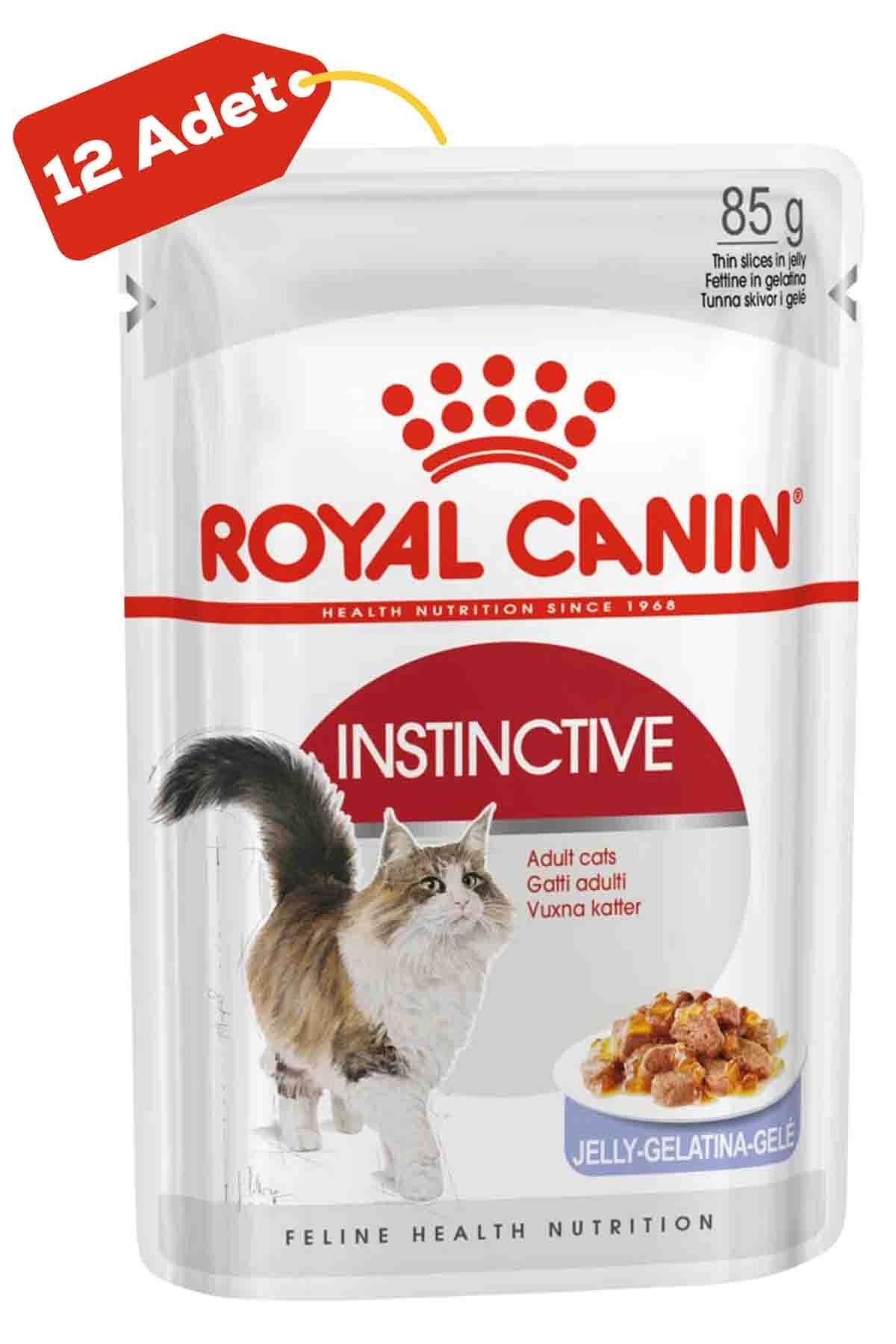 Royal Canin Instinctive Jöleli Kedi Konservesi 12x85gr 12li