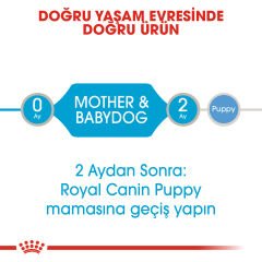 Royal Canin Starter Mousse Mother Babydog 195gr