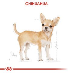 Royal Canin Chihuahua Yetişkin Köpek Konservesi 85gr