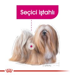 Royal Canin Exigent Mini Seçici Küçük Irk Köpek Maması 3kg