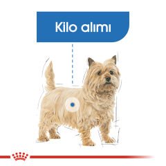 Royal Canin Light Weight Care Mini Küçük Irk Köpek Maması 3kg