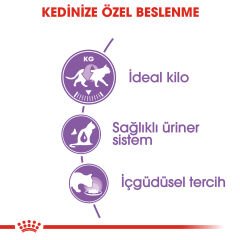 Royal Canin Gravy Kısırlaştırılmış Yetişkin Kedi Konservesi 85gr