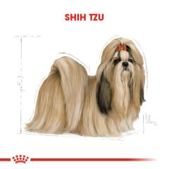 Royal Canin Shih Tzu Yetişkin Köpek Maması 1,5kg