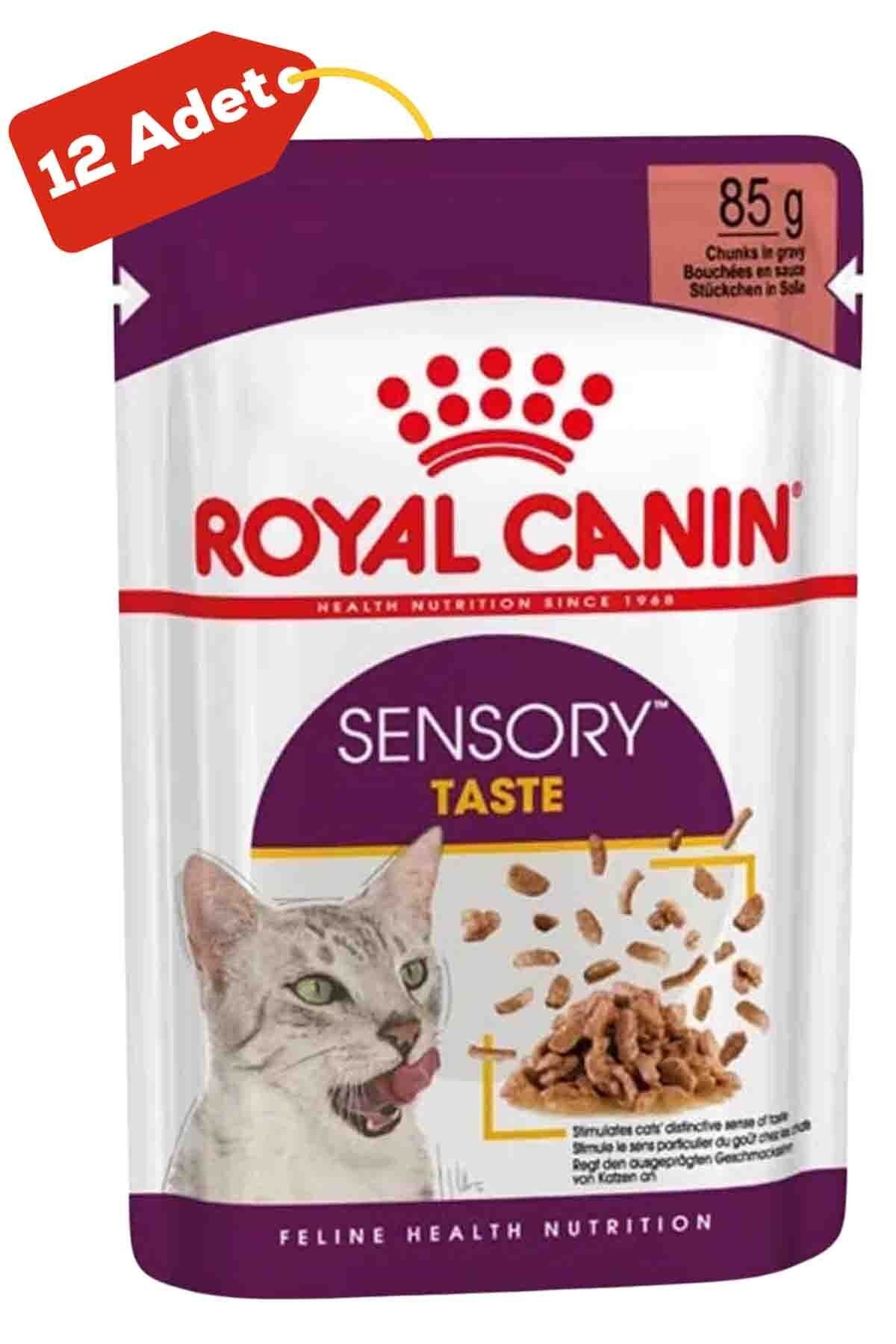 Royal Canin Sensory Smell Yetişkin Kedi Konservesi 12x85gr 12li