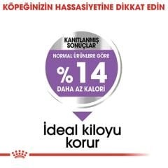 Royal Canin Sterilised Mini Kısırlaştırılmış Küçük Irk Köpek Maması 3kg