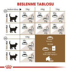 Royal Canin Ageing +12 Yaş Üzeri Yaşlı Kedi Maması 2kg