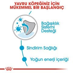 Royal Canin Mini Puppy Küçük Irk Yavru Köpek Konservesi 12x85gr 12li