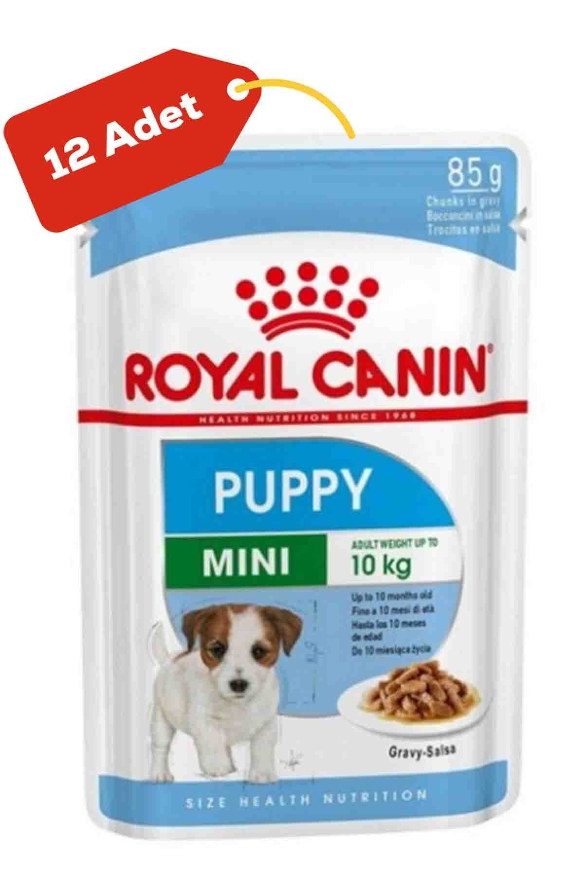 Royal Canin Mini Puppy Küçük Irk Yavru Köpek Konservesi 12x85gr 12li