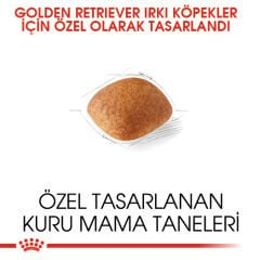 Royal Canin Golden Retriever Yetişkin Köpek Maması 12kg