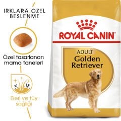 Royal Canin Golden Retriever Yetişkin Köpek Maması 12kg