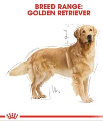 Royal Canin Golden Retriever Yetişkin Köpek Maması 12kg