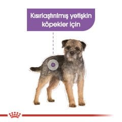 Royal Canin Kısırlaştırılmış Köpek Konservesi 85gr