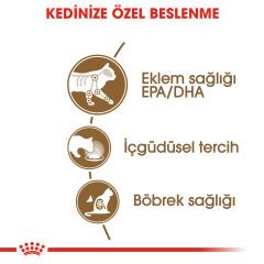 Royal Canin 12 Yaş Üzeri Yaşlı Kediler için Kedi Konservesi 85gr