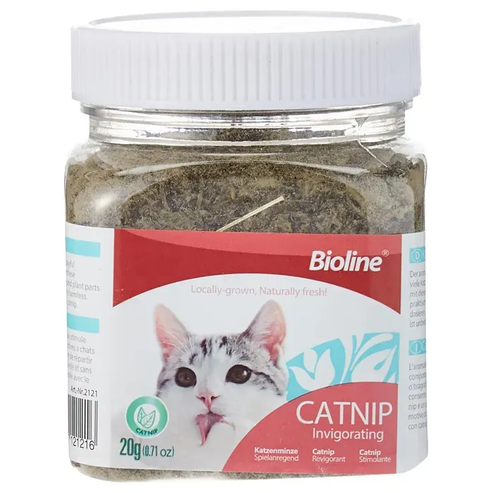 Catnip 20 gr