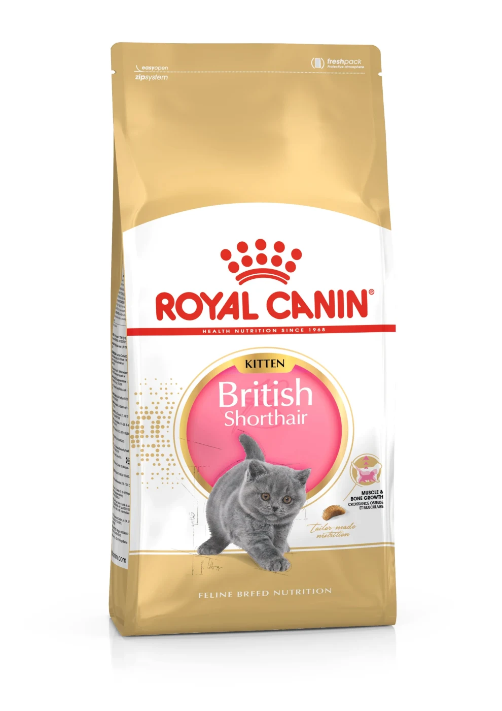 Royal Canin British Shorthair Kitten Yavru Kedi Maması