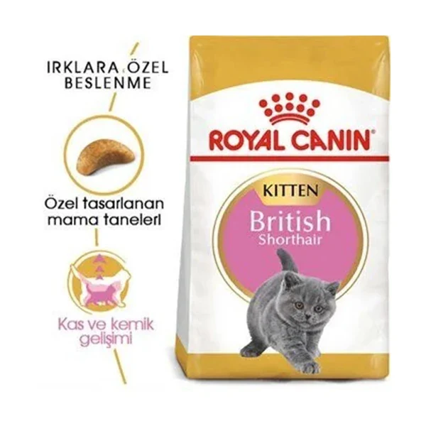 Royal Canin British Shorthair Kitten Yavru Kedi Maması 2 kg