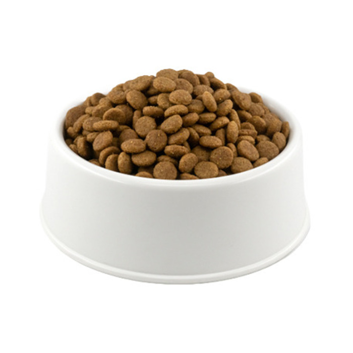 Premium Somonlu Yavru Kedi Maması Açık