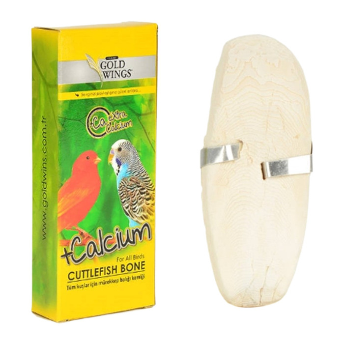 Classic Gwc Kutu Mürekkep Balığı Kemiği